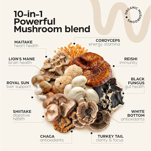 Assorted mushrooms labeled with health benefits, including cordyceps, reishi, black fungus, and more.