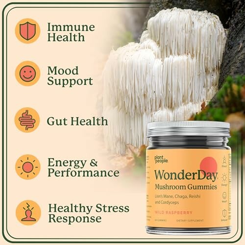 WonderDay Mushroom Gummies benefits with immune health, mood support, gut health, energy, and stress response.